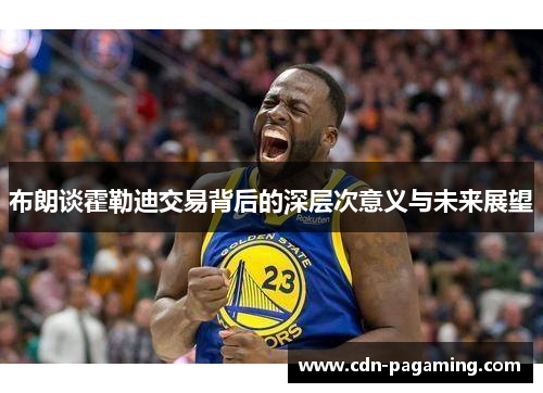 布朗谈霍勒迪交易背后的深层次意义与未来展望