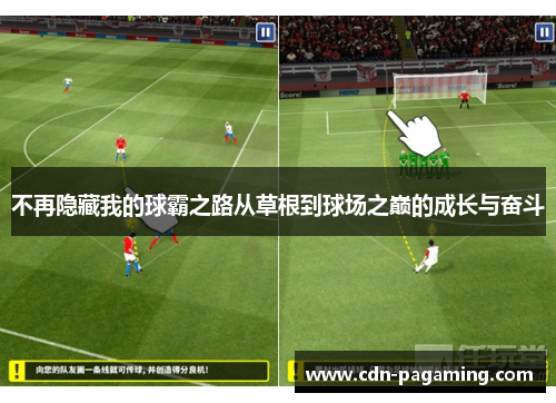 不再隐藏我的球霸之路从草根到球场之巅的成长与奋斗