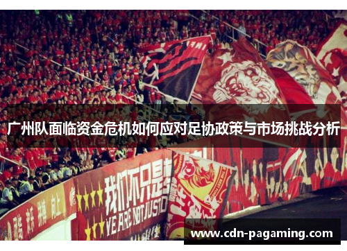 广州队面临资金危机如何应对足协政策与市场挑战分析