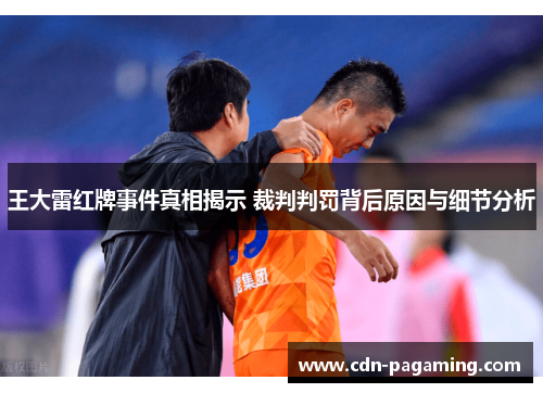 王大雷红牌事件真相揭示 裁判判罚背后原因与细节分析 王大雷红牌事件真相揭示 裁判判罚背后原因与细节分析