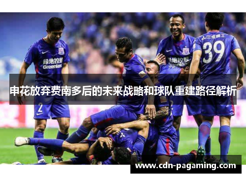 申花放弃费南多后的未来战略和球队重建路径解析