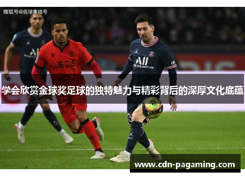 学会欣赏金球奖足球的独特魅力与精彩背后的深厚文化底蕴