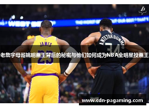 老詹字母哥姚明票王背后的秘密与他们如何成为NBA全明星投票王 老詹字母哥姚明票王背后的秘密与他们如何成为NBA全明星投票王