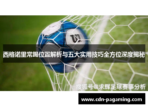 西格诺里常踢位置解析与五大实用技巧全方位深度揭秘 西格诺里常踢位置解析与五大实用技巧全方位深度揭秘