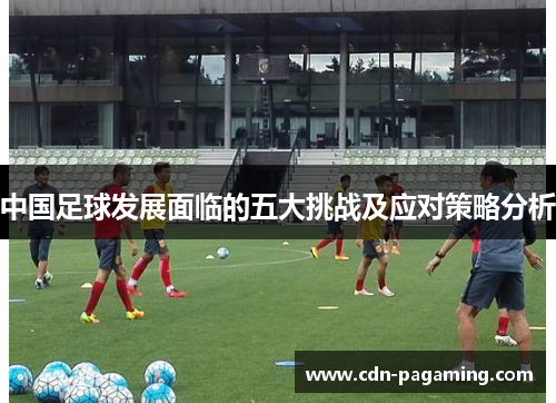 中国足球发展面临的五大挑战及应对策略分析