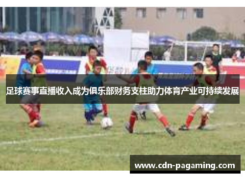 足球赛事直播收入成为俱乐部财务支柱助力体育产业可持续发展