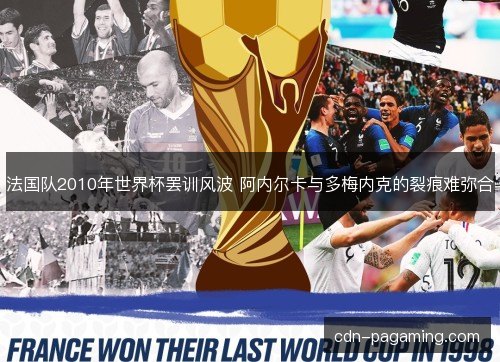法国队2010年世界杯罢训风波 阿内尔卡与多梅内克的裂痕难弥合