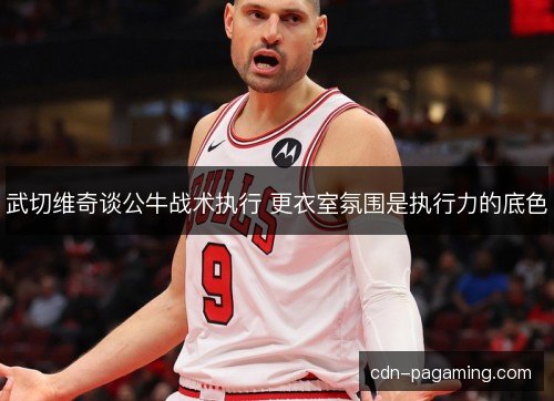 武切维奇谈公牛战术执行 更衣室氛围是执行力的底色